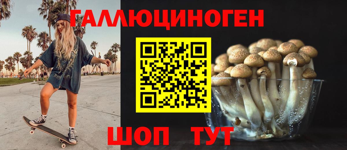 Аксай  Псилоцибиновые грибы Psilocybine cubensis  где купить наркотик  Вход с VPN 